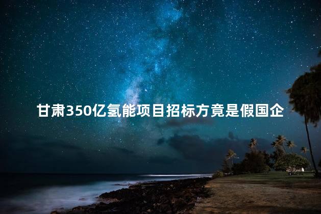 甘肃350亿氢能项目招标方竟是假国企