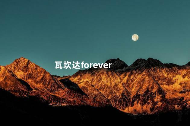 瓦坎达forever