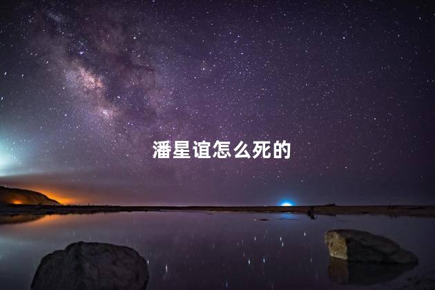 潘星谊怎么死的