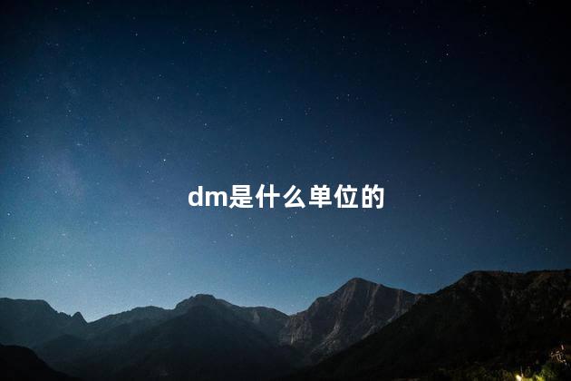 dm是什么单位的