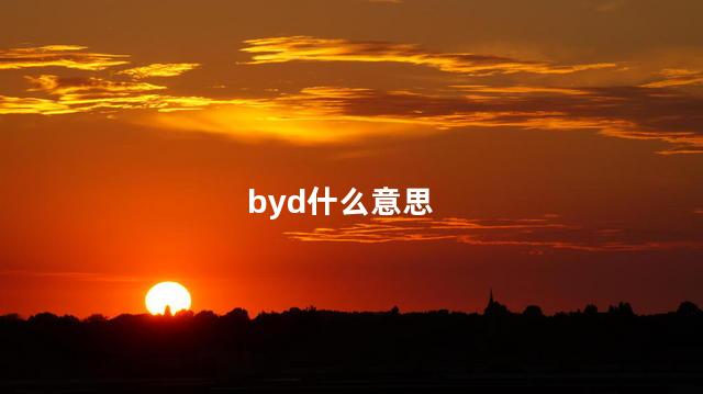 byd什么意思