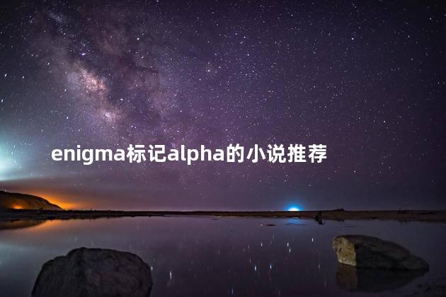 enigma标记alpha的小说推荐