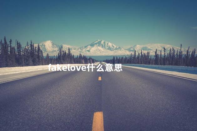 fakelove什么意思