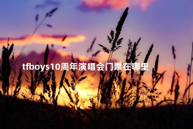 tfboys10周年演唱会门票在哪里买