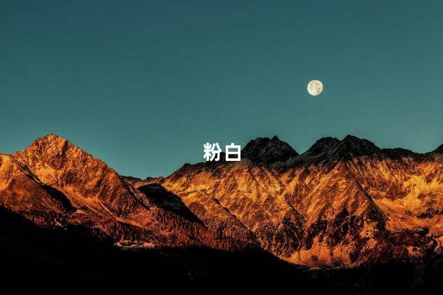 粉白