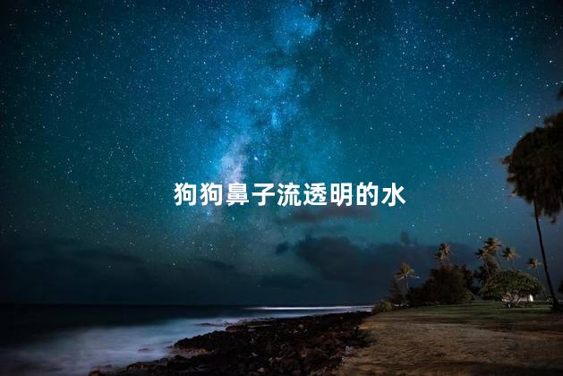 狗狗鼻子流透明的水