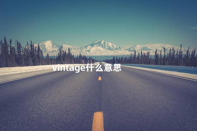 vintage什么意思