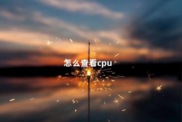 怎么查看cpu