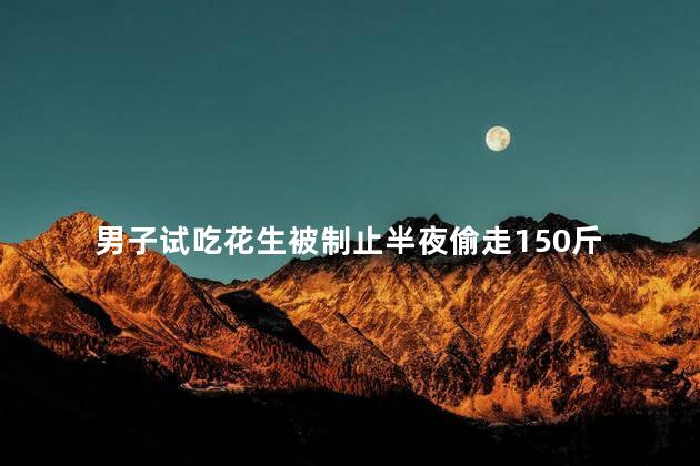 男子试吃花生被制止半夜偷走150斤