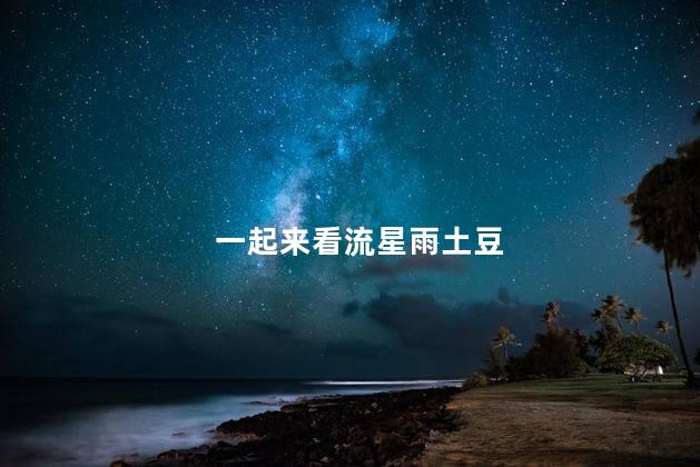 一起来看流星雨土豆