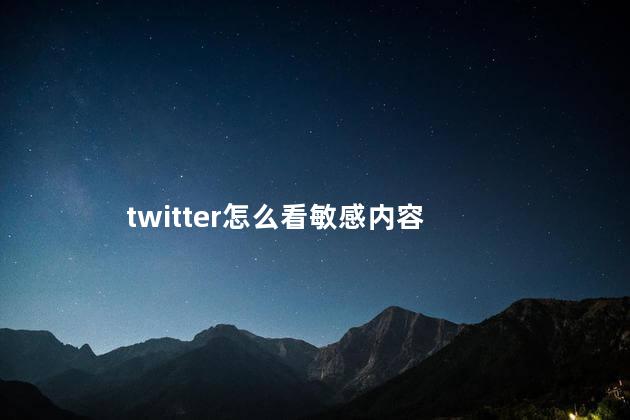 twitter怎么看敏感内容