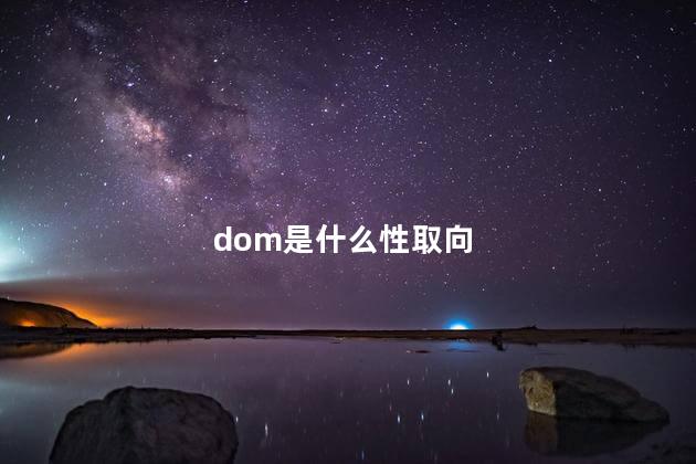 dom是什么性取向